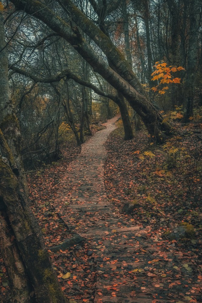 Photograph by Светлана Краюшкина