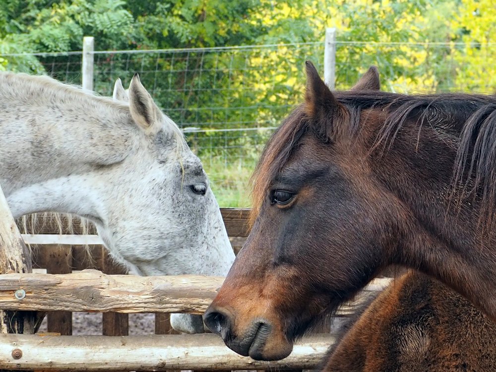 Фотография автора Denes Doma