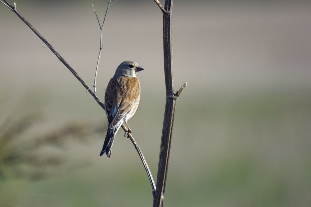 Photograph by Алексей Логинов