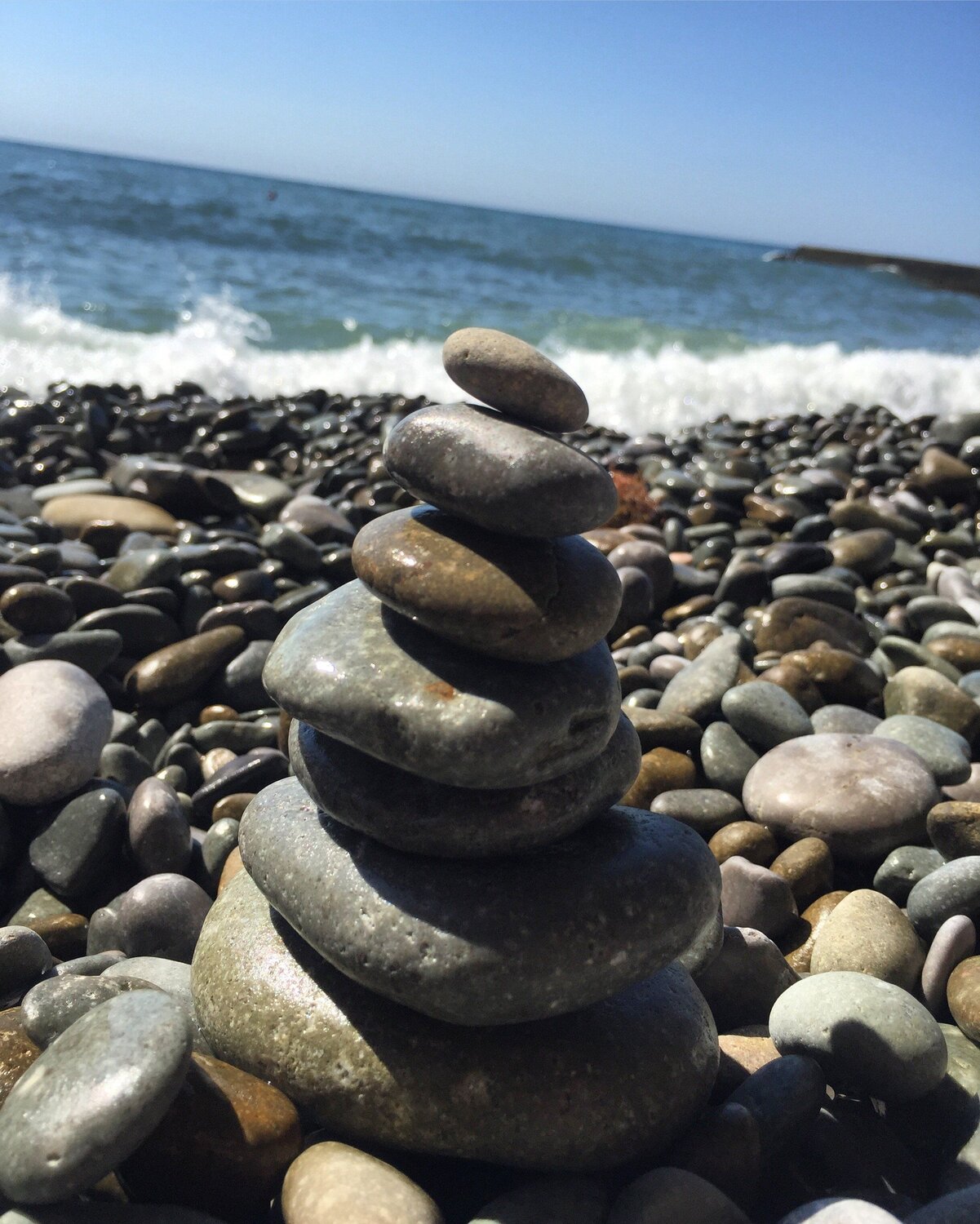 Photo #5100698