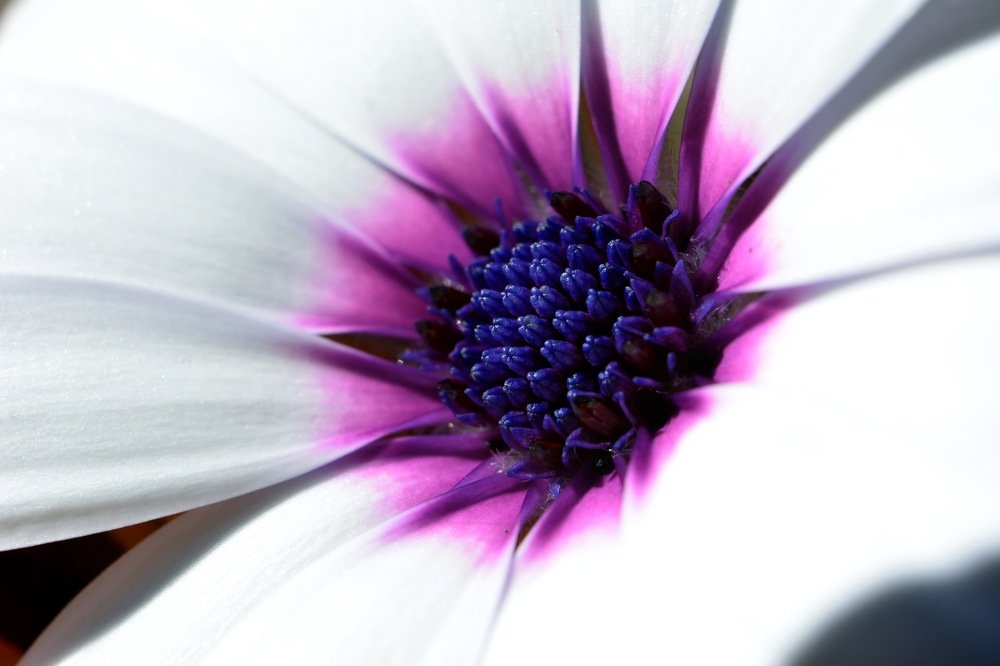 Photograph by Fernando Lopez Lago