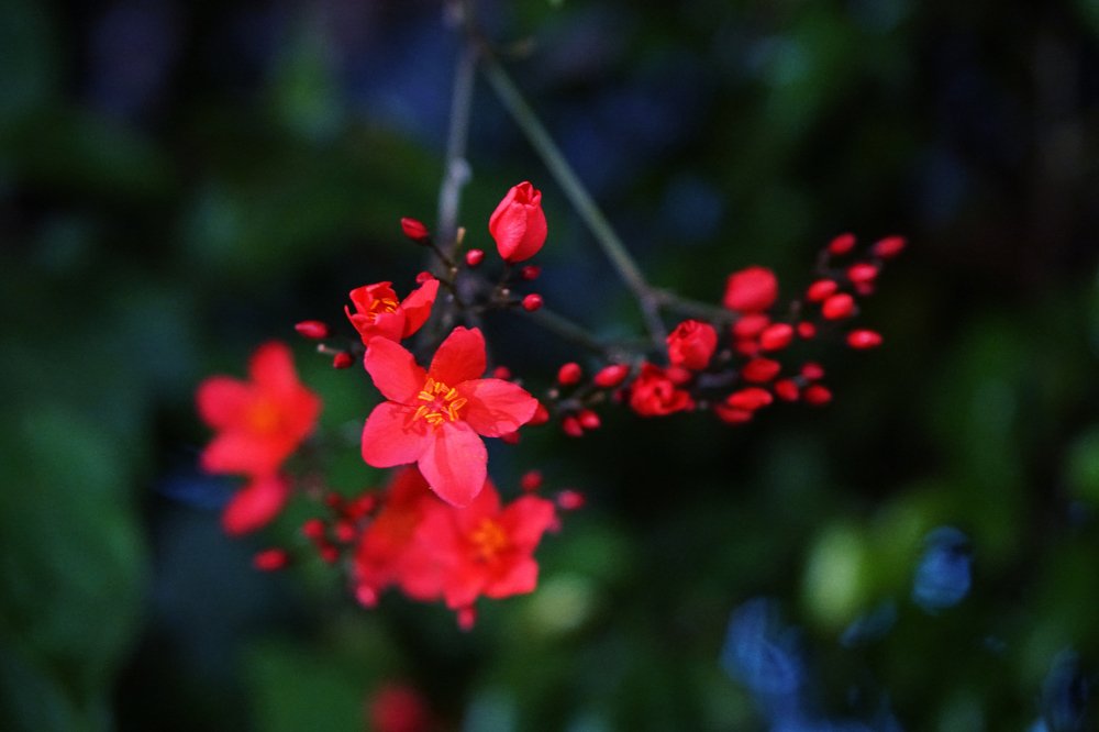 Photograph by Sevil Friedberg