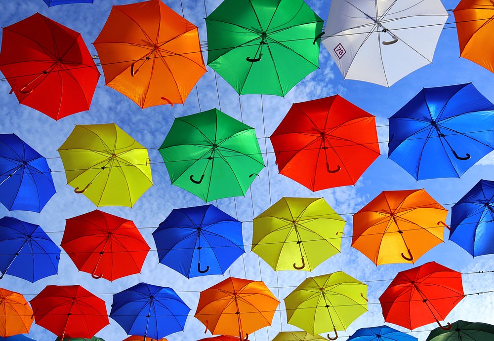 Цвет,свет,ритм.