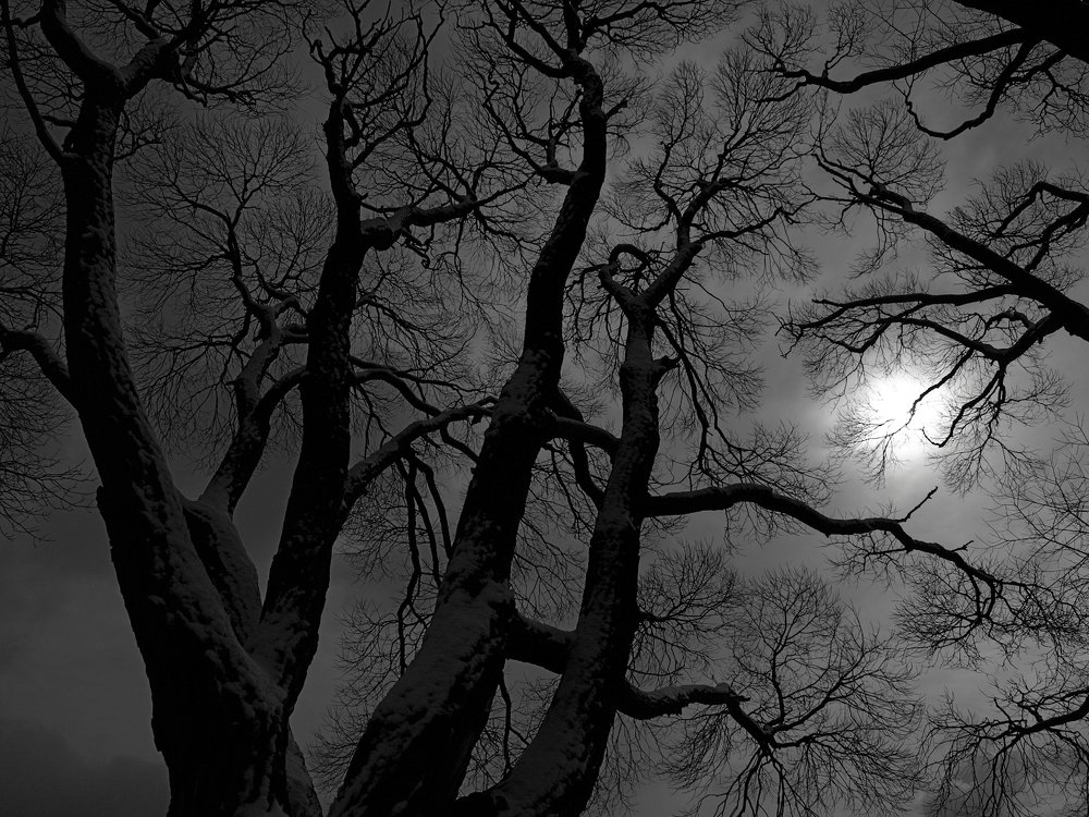 Вечерняя графика.