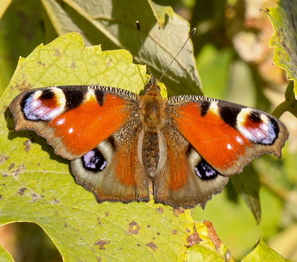 Photograph by Валерий Церковный