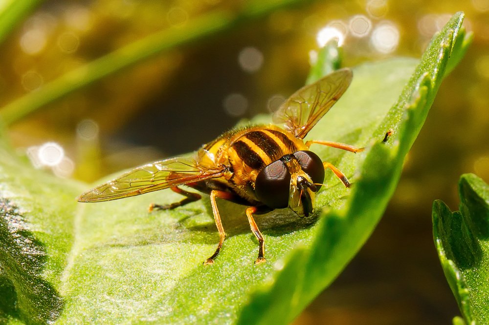 Photograph by Валерий Церковный