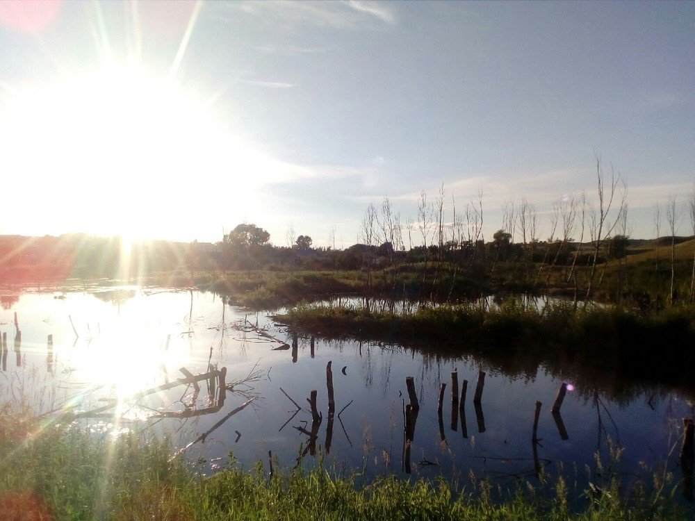 Photograph by Dilara Karimova
