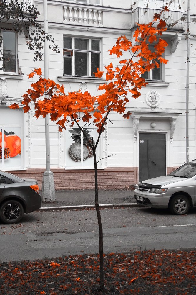 Красное на улице.