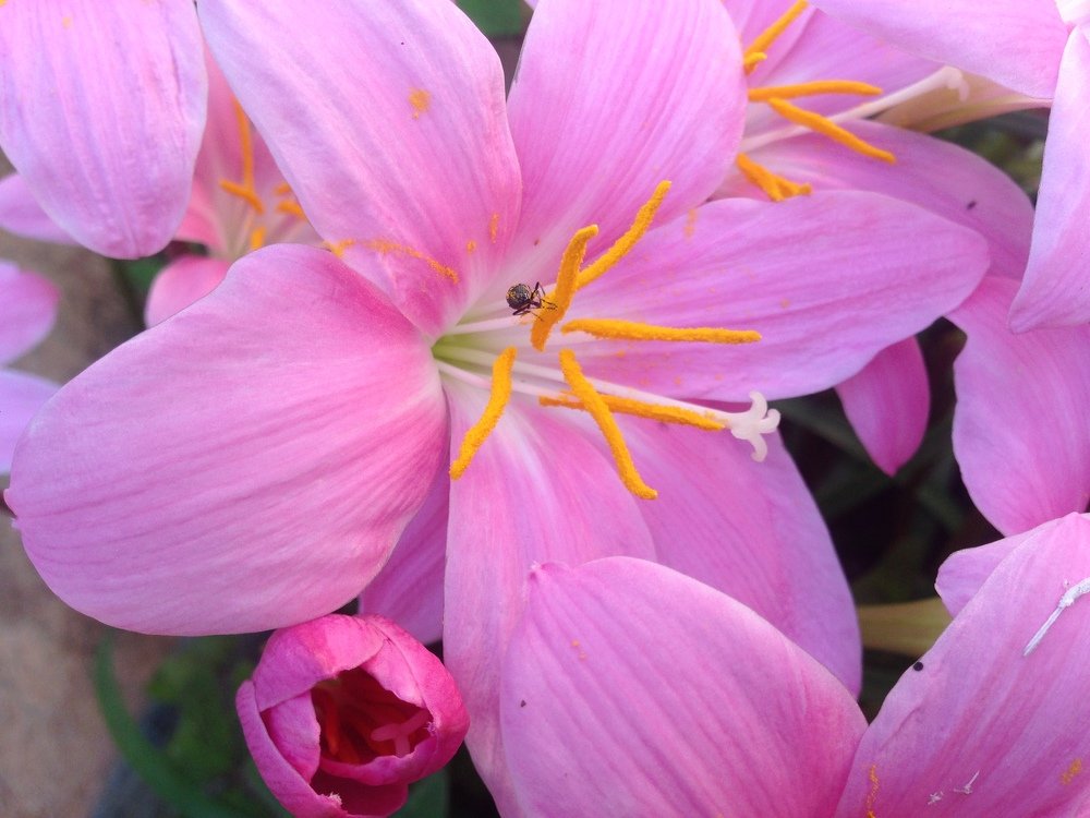 Photograph by Gaurav Sharma