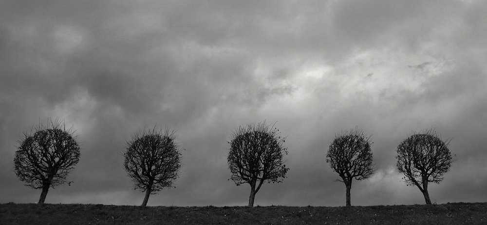 Поздняя осень