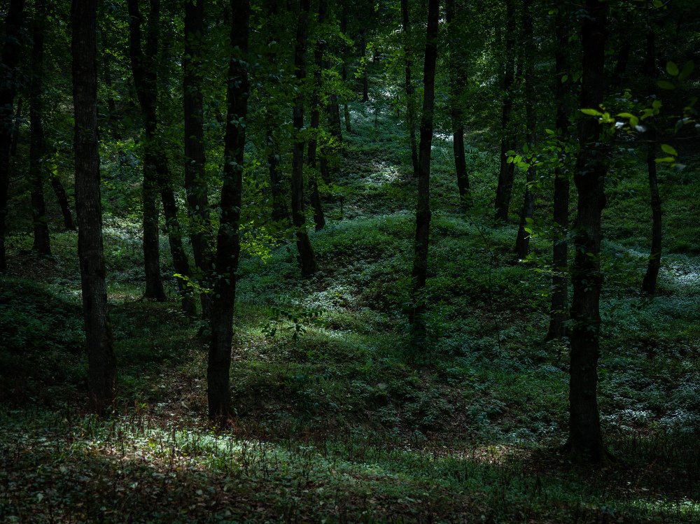 Photograph by Rasoul Soleimani