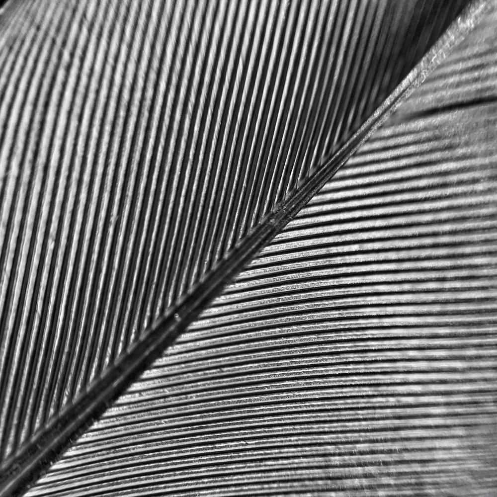 Фотография автора Артемий Николаевич