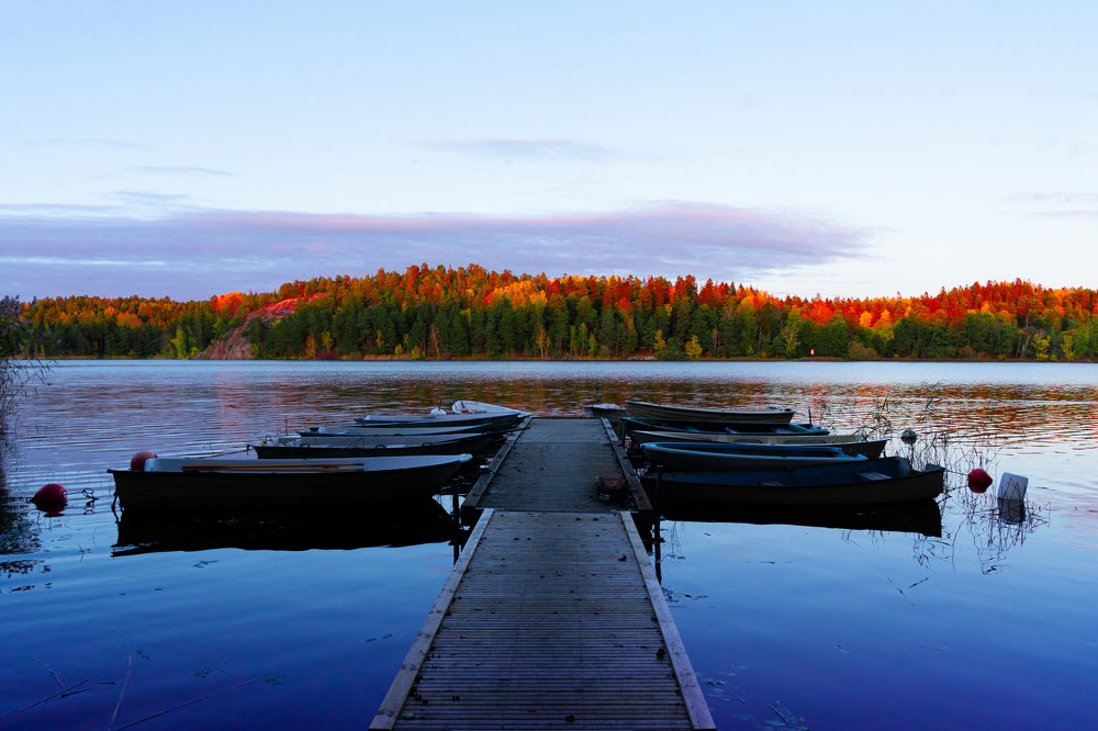 Фотография автора Julia A Caesar