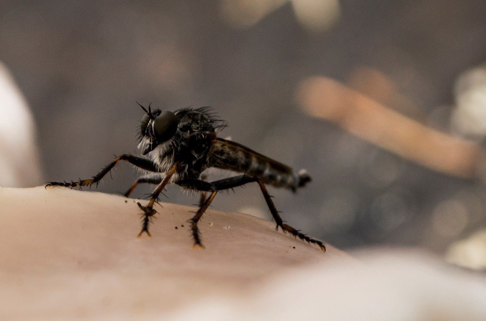 Photograph by Светлана Ковалёнок