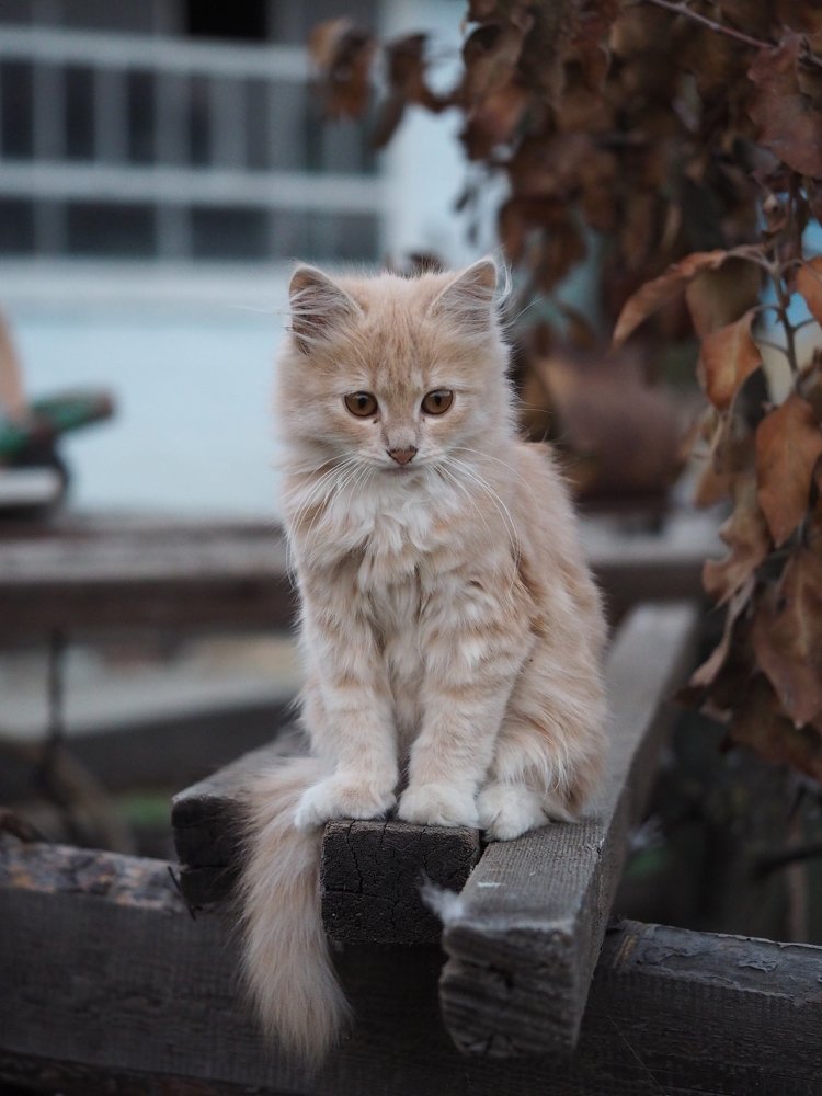 Photograph by Юлия Кравченко