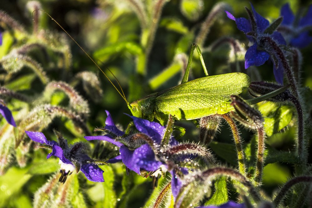 Photograph by Светлана Ковалёнок