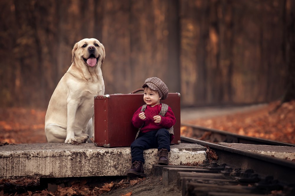 Фотография автора Катерина Лебедева