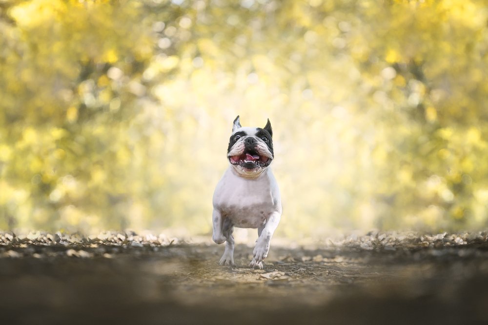 Photograph by Deise de Oliveira