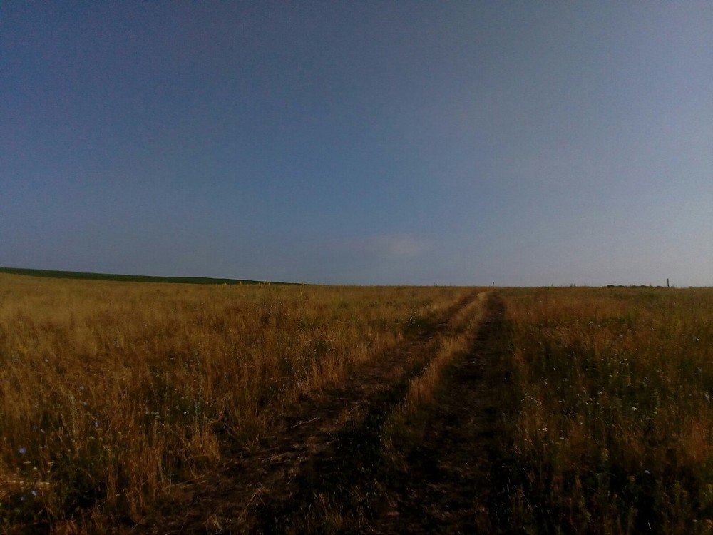 Photograph by Dilara Karimova
