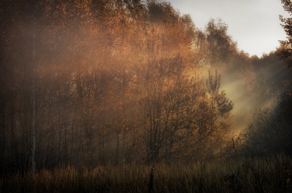 Photograph by Константин Гончаров