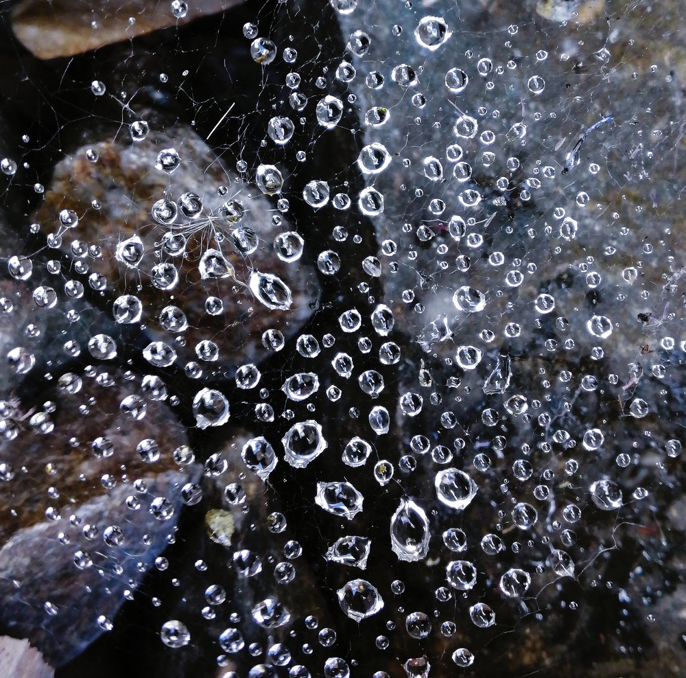 Фотография автора Александр Кременицкий