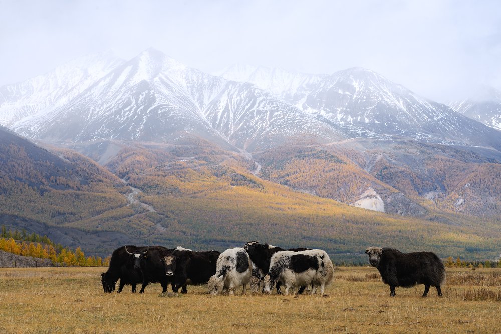 Photograph by Иван Мерко