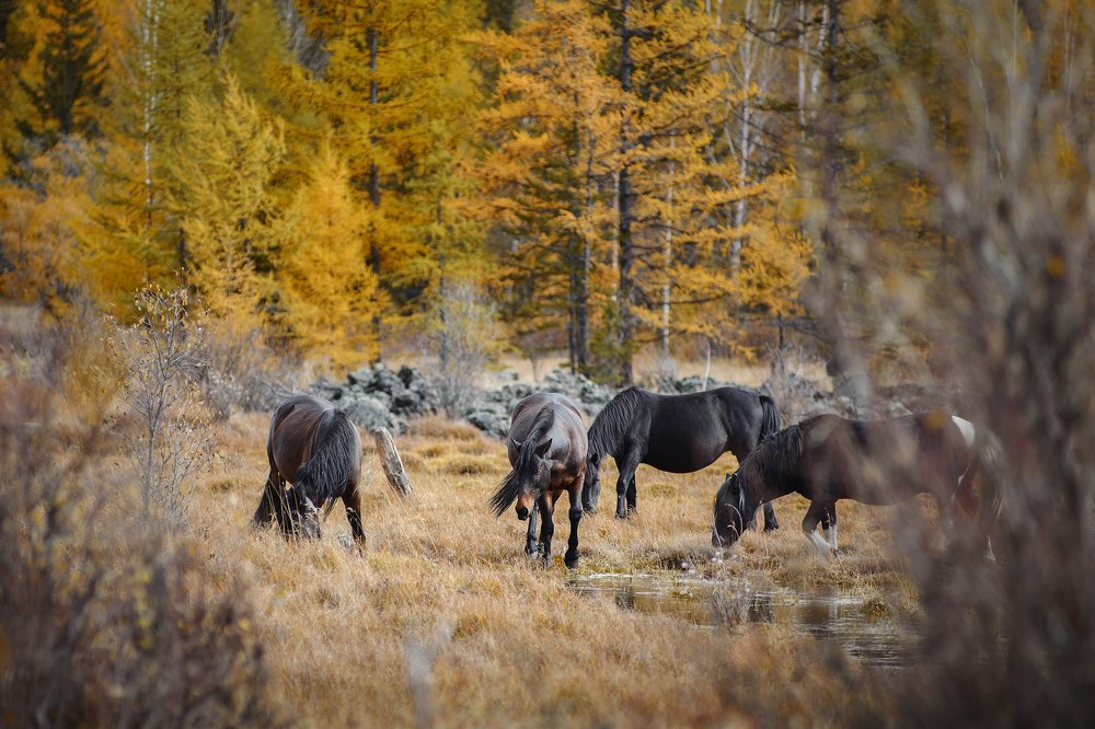 Photograph by Иван Мерко