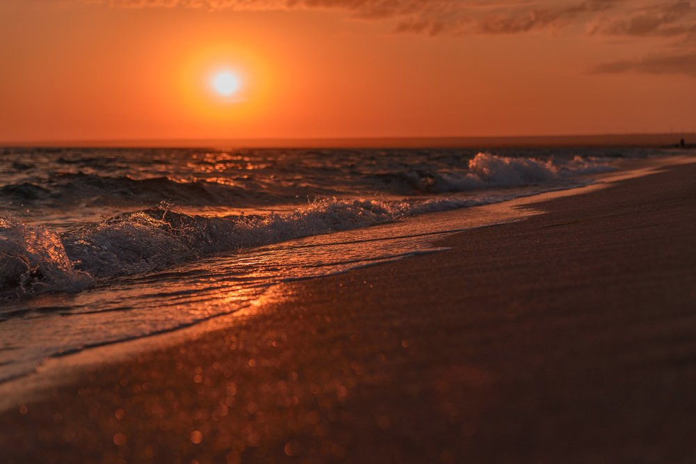 Photograph by Ксения