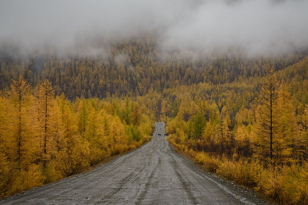 Photograph by Иван Мерко