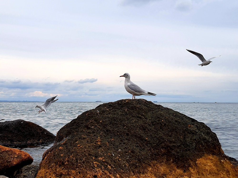Photograph by Ольга Бондаренко