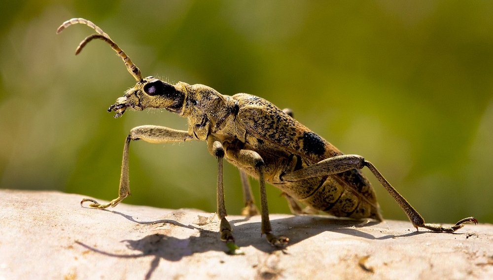 Photograph by Александр Есликов