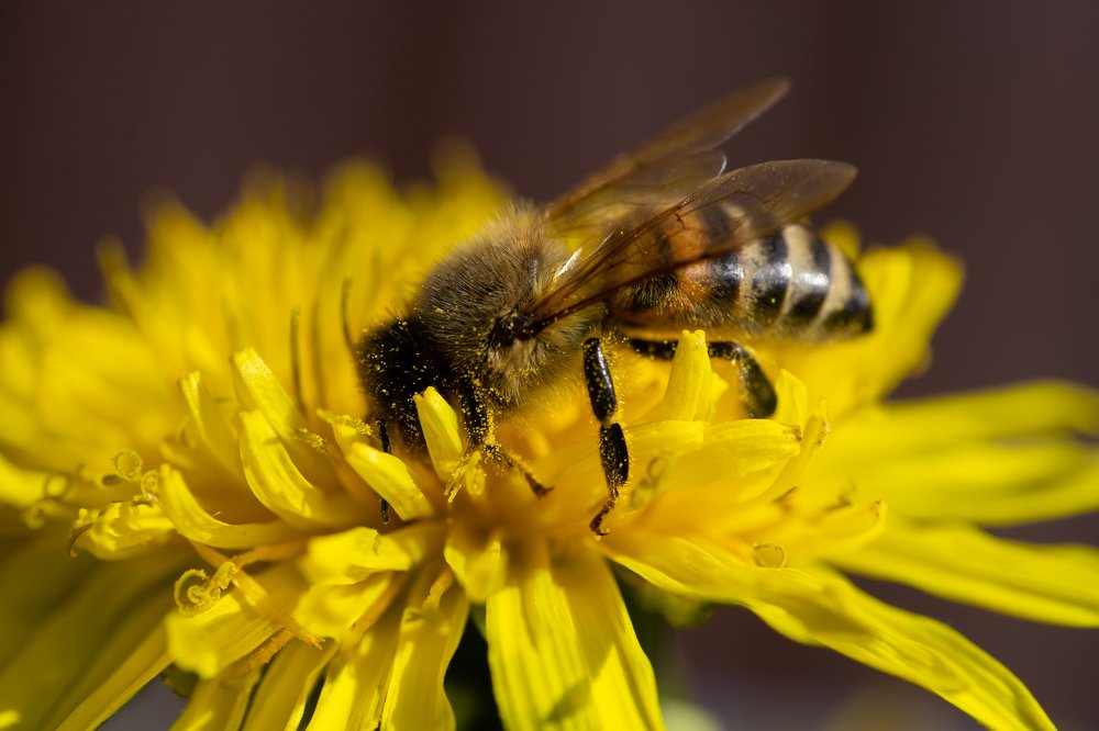 Photograph by Ксения Щербакова
