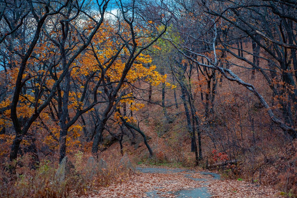 Photograph by Иван Радьков