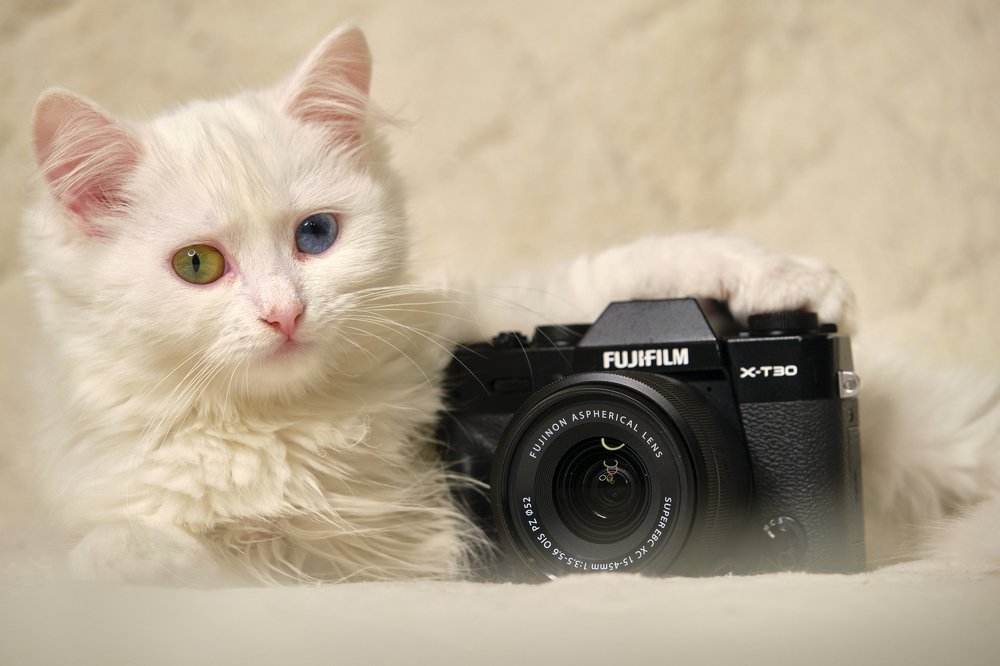 Photograph by Руслан Ибрагимов