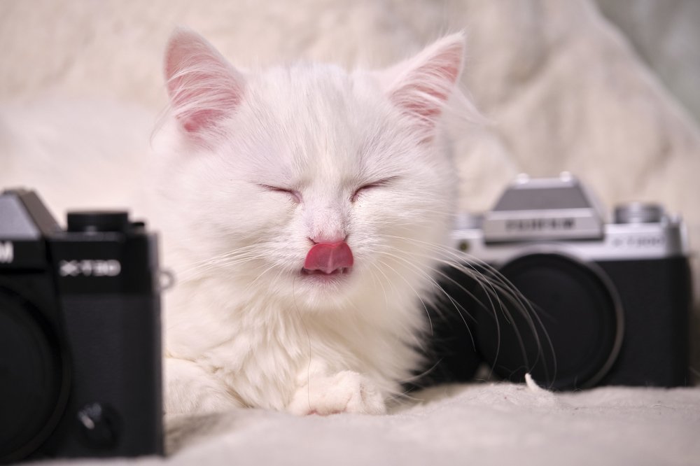 Photograph by Руслан Ибрагимов