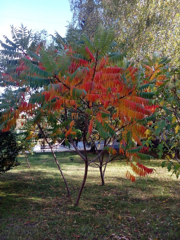 Photograph by Ирина Марченко