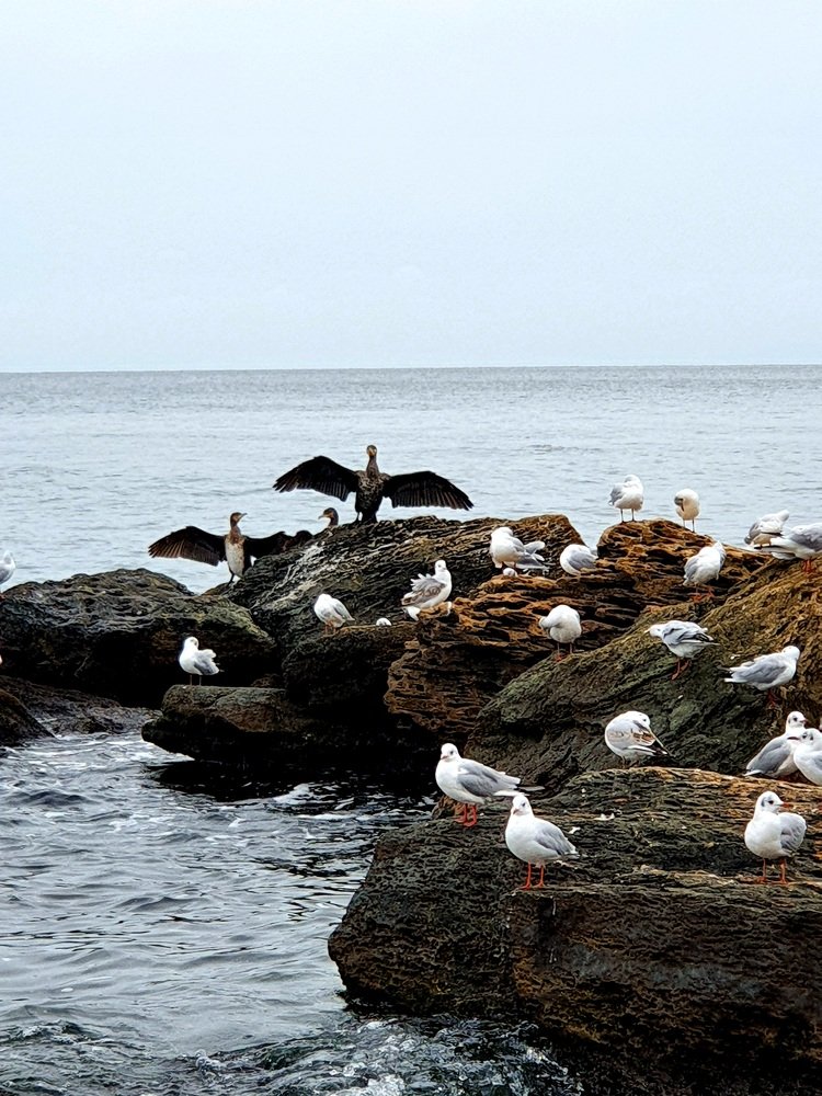 Photograph by Ольга Бондаренко