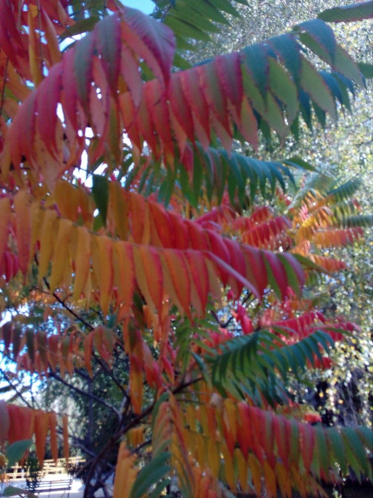 Photograph by Ирина Марченко