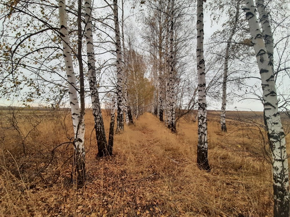 Photograph by Ирина Поваляева