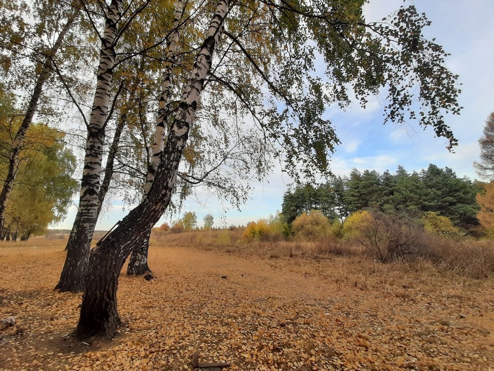 Photograph by Ирина Поваляева