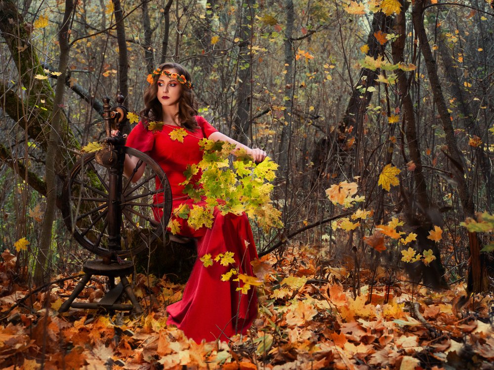 Фотография автора Елена Бурцева