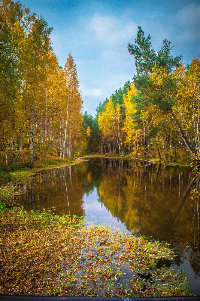 Photograph by Розита Гильманова