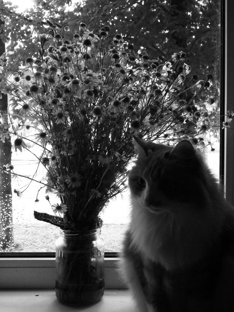 Photograph by Tsina Palynskaya