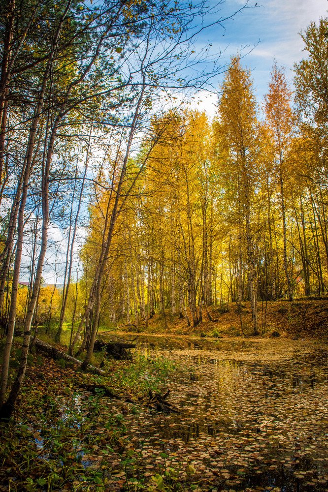 Photograph by Розита Гильманова