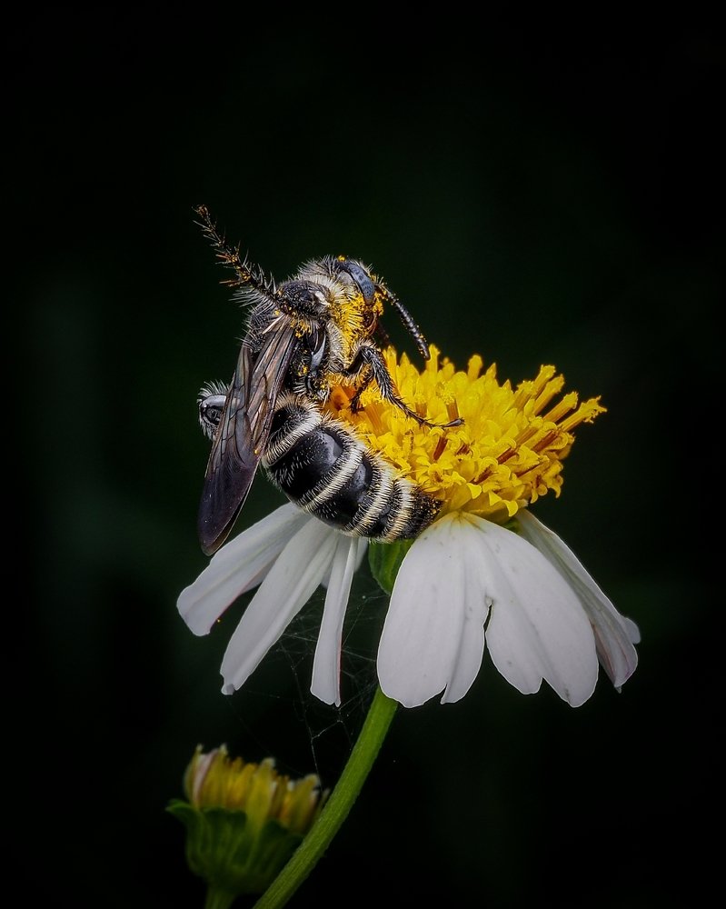 Photograph by Endra Agust