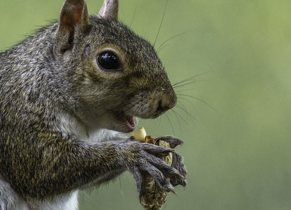 Photograph by Igor Tourovski