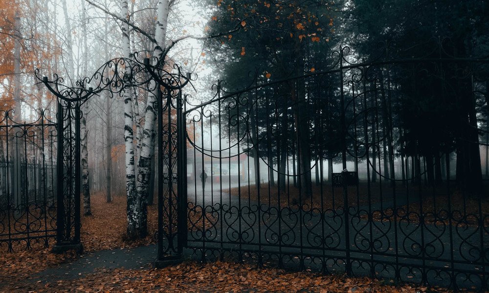 Photograph by Розита Гильманова