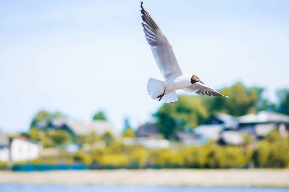 Photograph by Георгий Меркулов