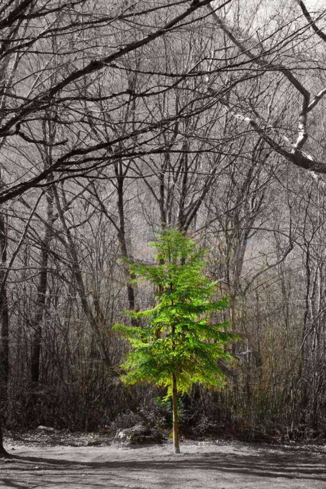 The new among the old.