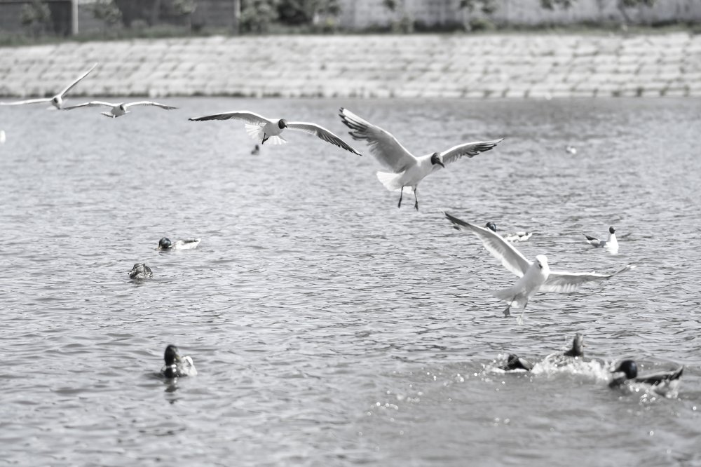 Photograph by Георгий Меркулов